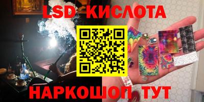стафф Заводоуковск