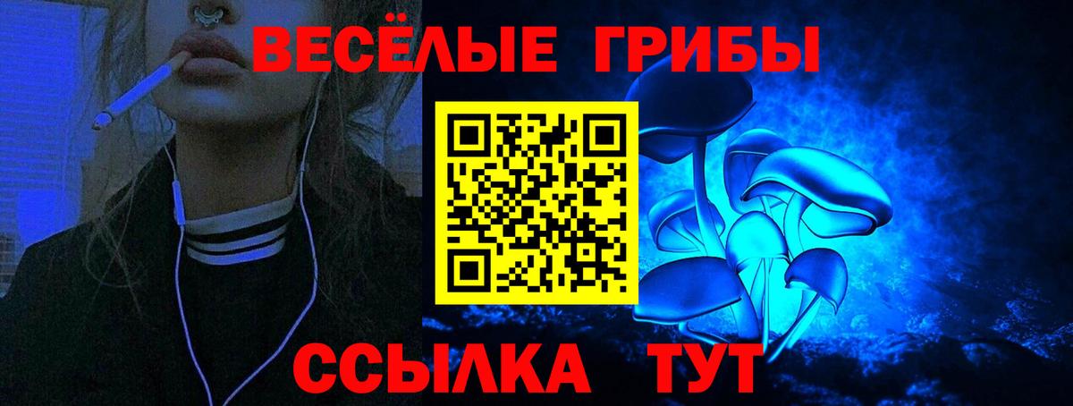 Псилоцибиновые грибы Cubensis  Галлюциногенные грибы MAGIC MUSHROOMS  где продают наркотики  Вход с VPN  Минеральные Воды 